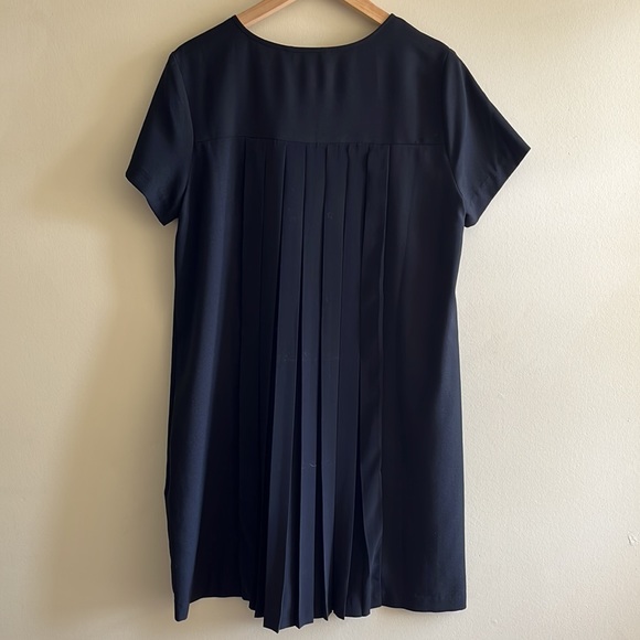 Banana Republic Pleat Dress - Picture 4 of 4